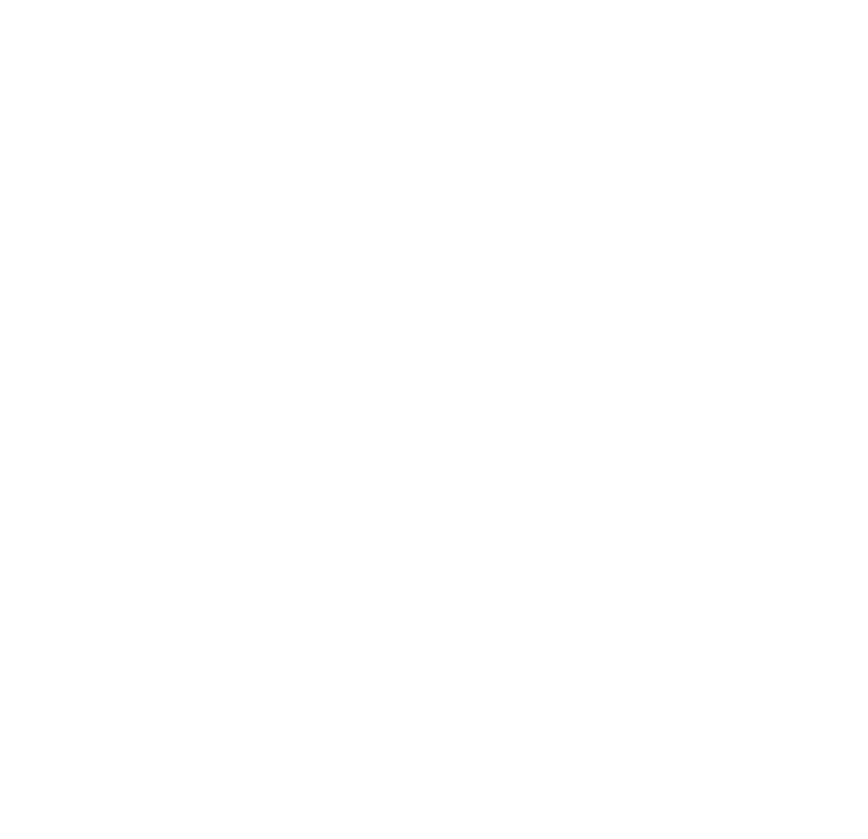 A Wise Lawyer Logo
