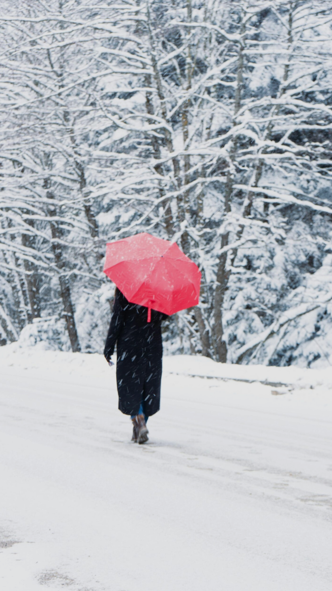 Don’t Rely on the Courts to Keep Your Children Safe — You Have to Do This