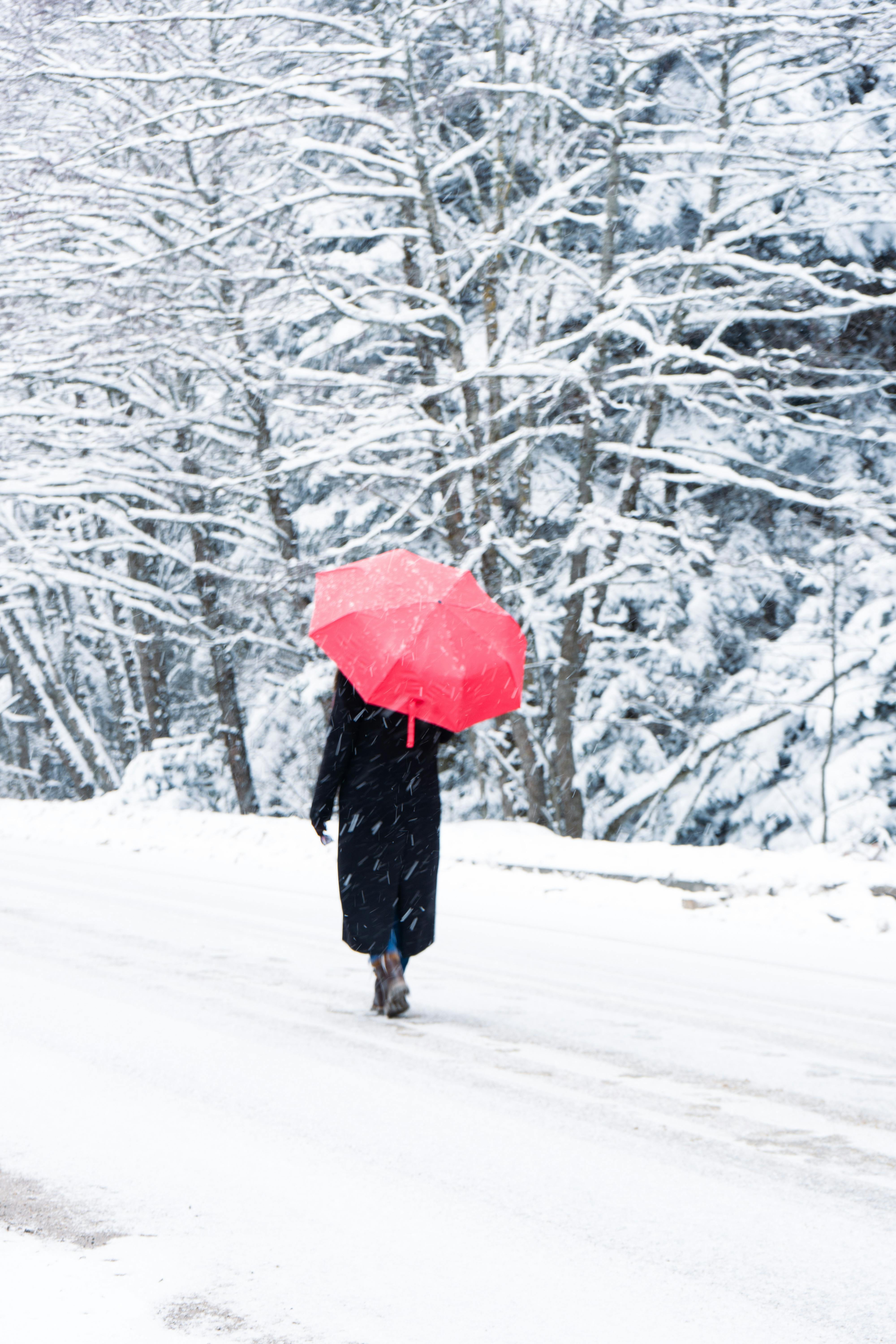Parent walking alone through snowstorm, symbolizing isolation in family court